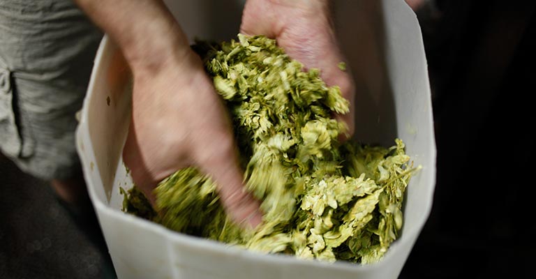 Frog beer