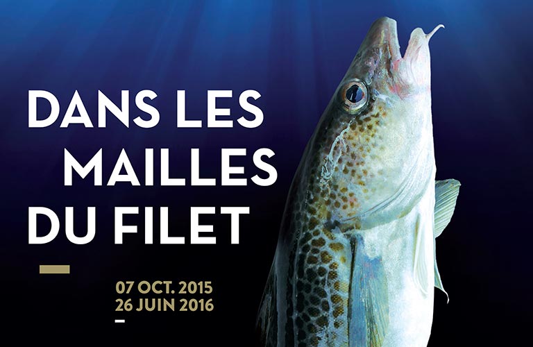 Affiche Exposition Dans les Mailles du Filet