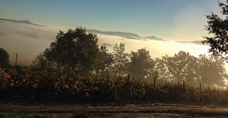 Terres Promises un Domaine à découvrir au prochain salon des Vignerons Indépendants du 27 au 29 mai Porte de Champerret