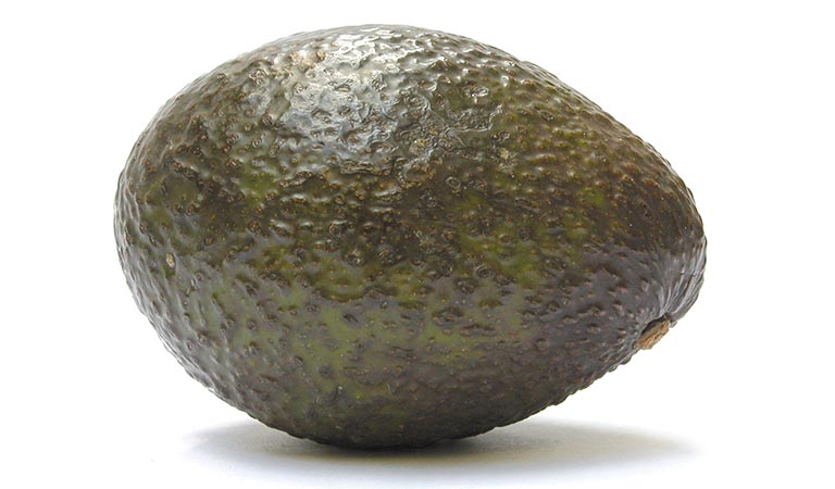 Avocat Fuerte