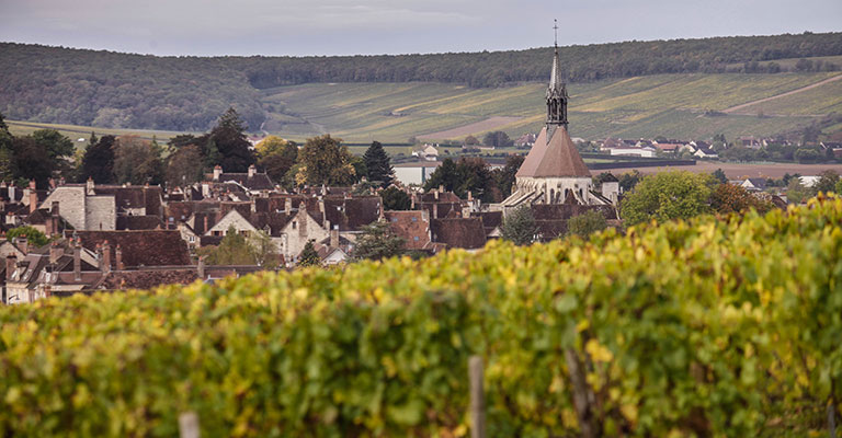 Chablis ©Ludovic Le Guyader