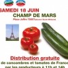 photo Distribution gratuite de concombres et tomates de France