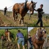 photo Billet d’humeur par Daniel-Etienne Defaix, vigneron à Chablis