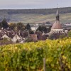 photo Appellation Chablis, le Chardonnay dans toute sa splendeur