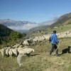 photo Le Slow food