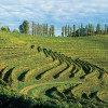 photo Bref regard sur les vins slovènes