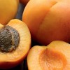 photo L’abricot, le fruit roi de l’été