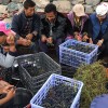 photo XiaoLing, le vin qui flirte avec les nuages