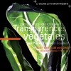 photo Exposition photos « Transparences Végétales »