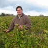 photo Le Petiot, un vin blanc pas si petit que ça !!!