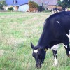 photo Trouver une ferme près de chez vous pour faire vos courses