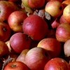 photo La pomme veut séduire les moins de 30 ans