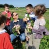 photo Où cueillir des fruits et légumes ?