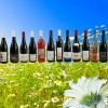 photo Accord vins de Gamay et charcuteries