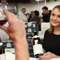 4ème Edition du Salon Nature et Vins, au Parc Floral de Vincennes.