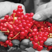 Omija, la baie du bonheur