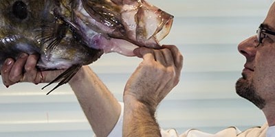 photo Interview du Chef Mickaël Féval