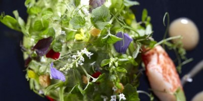 photo Foie gras végétal ou l’avocat autrement, cœur homard et jardin secret.