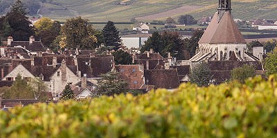 photo Appellation Chablis, le Chardonnay dans toute sa splendeur