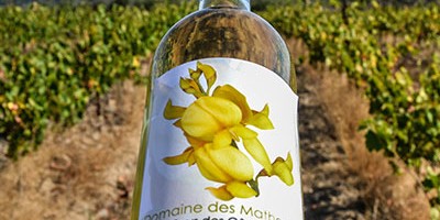 photo Domaine des Mathouans, des vins en Roussillon