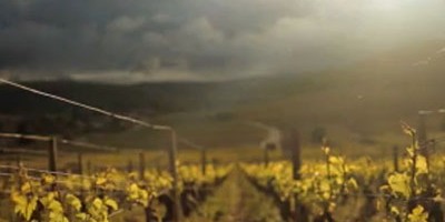 Pourquoi il faut regarder le documentaire Vino Business