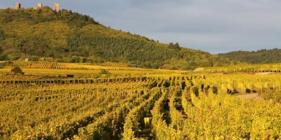 Pour les fêtes on craque pour les petites bulles d'Alsace !