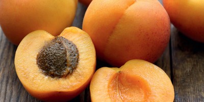 photo L’abricot, le fruit roi de l’été
