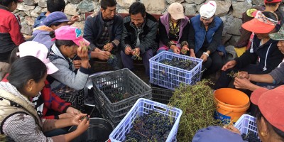 photo XiaoLing, le vin qui flirte avec les nuages