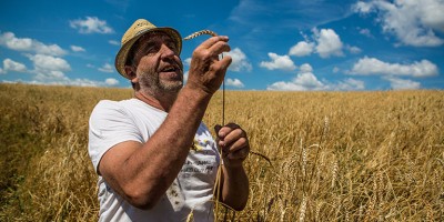 photo Philippe Guichard, le magicien des blés anciens devenu meunier