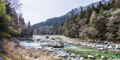 photo Tradition culinaire du village de Maze sur l'île d'Honshu, le Japon gastronomique version roots !