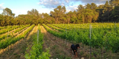 photo Salon Nature et Vins, gros plan sur le domaine de la Guicharde