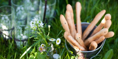 photo Recette facile de gressins au petit épeautre, thym et tahin