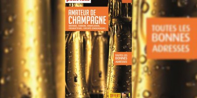 photo Guide de l'amateur de Champagne, Petit Futé