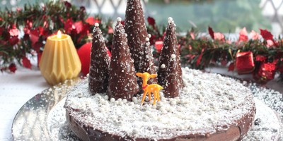 photo Moelleux de Noël à la Nocciolata par Marie-Laure Chassagnette