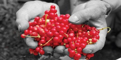 Omija, la baie du bonheur