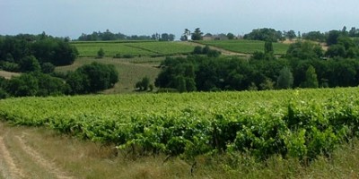 photo Domaine Le Bouscas – La Dulcinée 2003