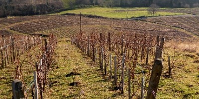 photo Domaine des Côtes de la Molière Beaujolais Villages 2009