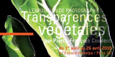 photo Exposition photos « Transparences Végétales »
