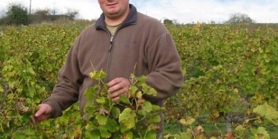 Le Petiot, un vin blanc pas si petit que ça !!!