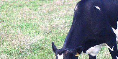 photo Trouver une ferme près de chez vous pour faire vos courses