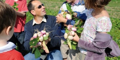 photo Où cueillir des fruits et légumes ?