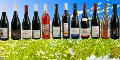 photo Accord vins de Gamay et charcuteries