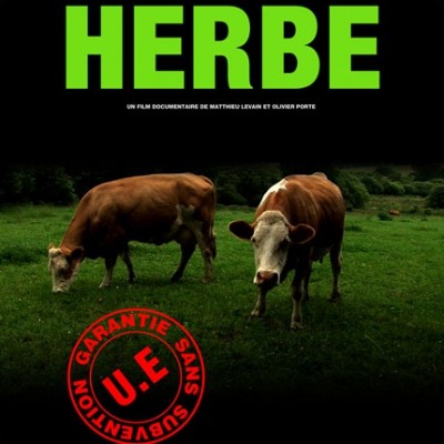 Le film Herbe