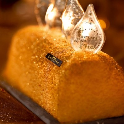 Bûches de Noël 2011