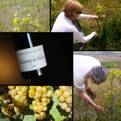 Chardonnay des Molières 2010