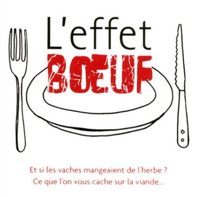 « l’Effet Bœuf » par Yves-Marie Le Boudonnec