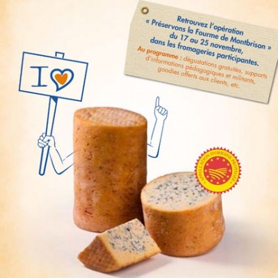 La Fourme de Montbrison, un fromage Français en voie de disparition