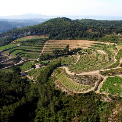 Pibarnon 2006