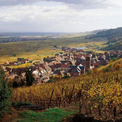 Le Gentil de Pfaff 2008