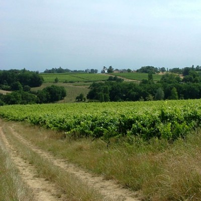Domaine Le Bouscas – La Dulcinée 2003